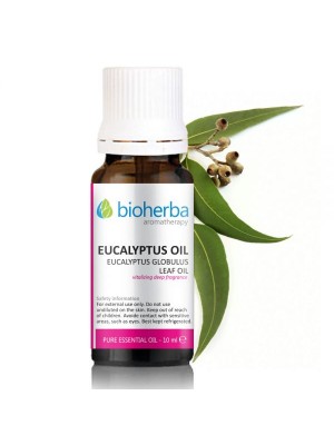 Essential Oils of Eucalyptus 10 ml.